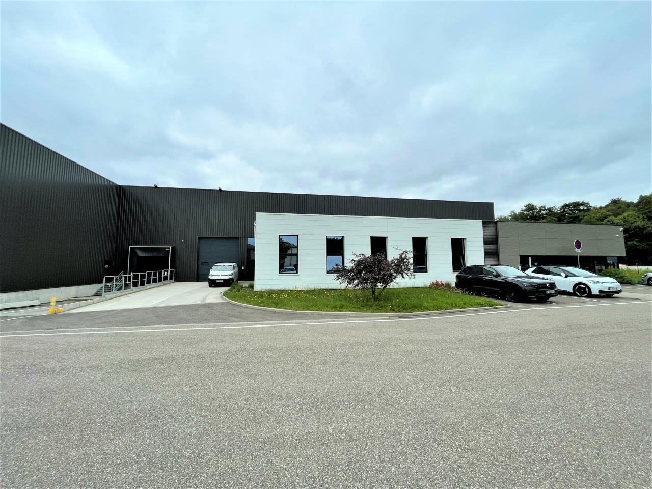 Local d'activité Reichstett 2141m² Location local d'activité Reichstett Bas-Rhin OLACT2423152 6